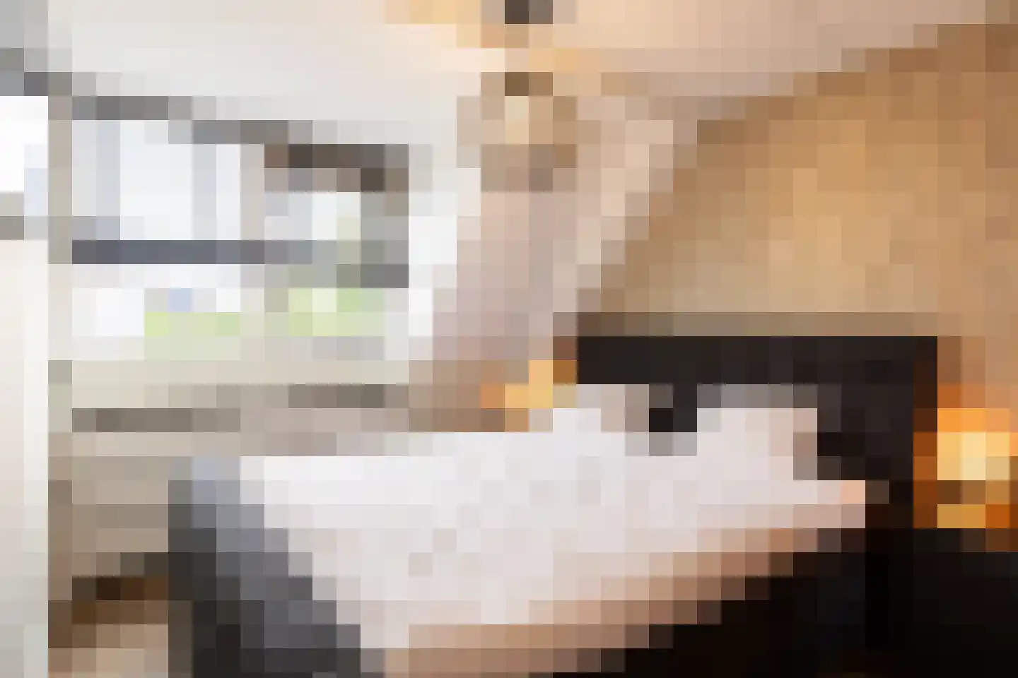 de Zicht 35 Varsseveld thumbnail 18