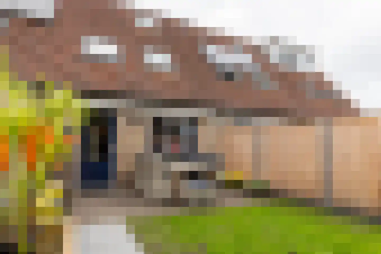 de Zicht 35 Varsseveld thumbnail 29