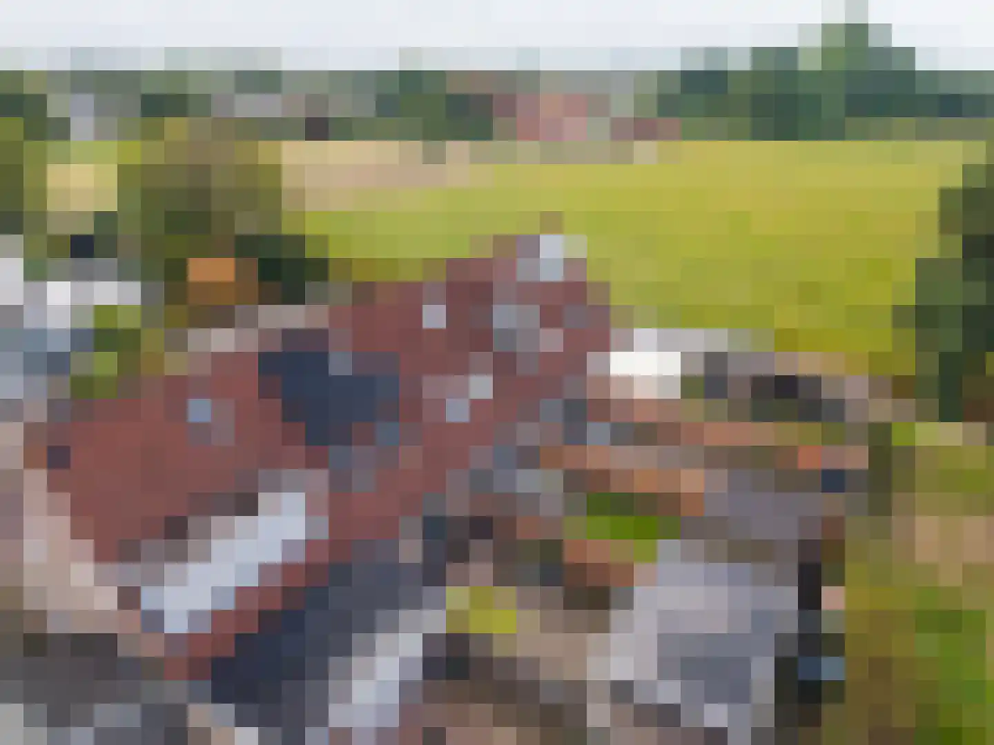 de Zicht 35 Varsseveld thumbnail 35
