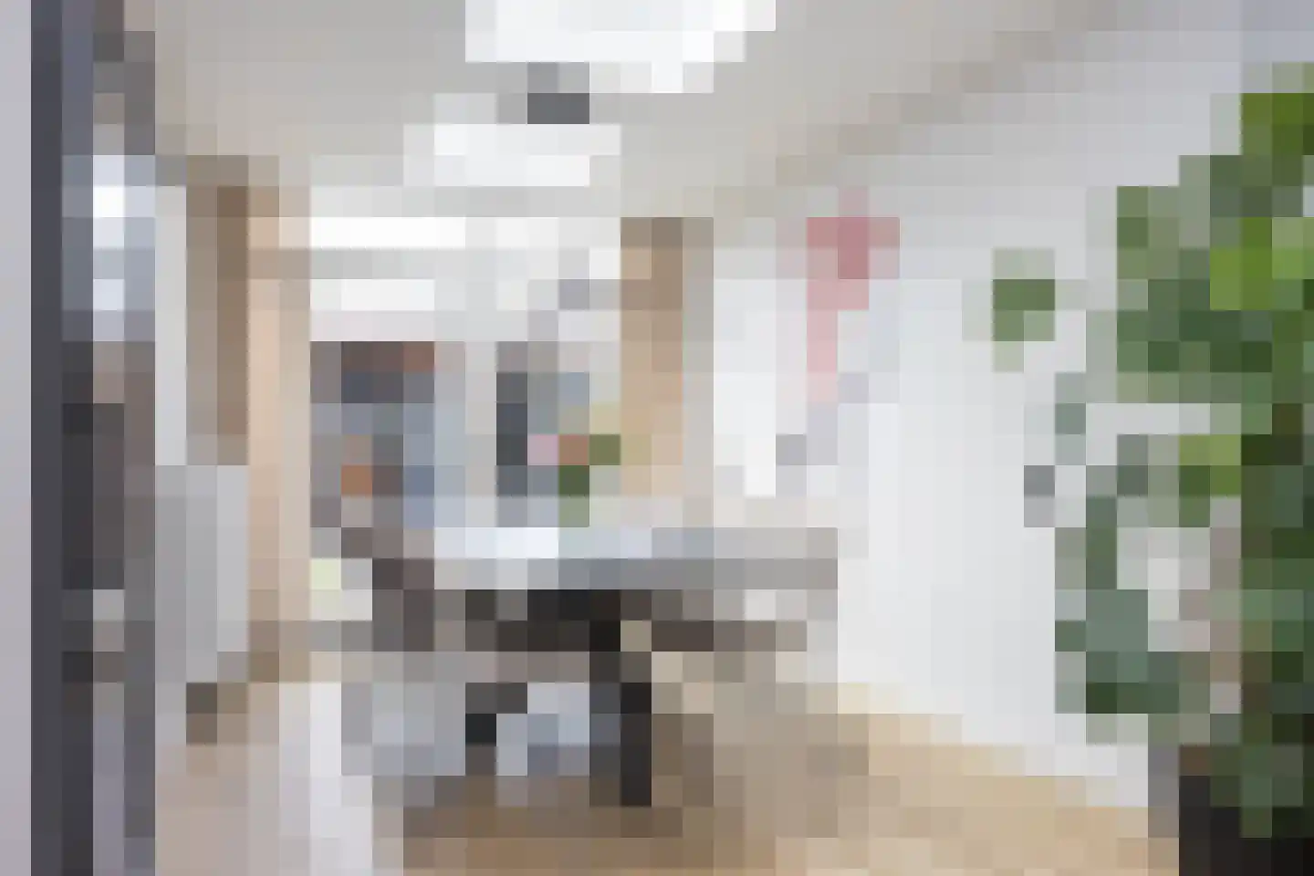 De Zicht 4 Brummen thumbnail 11