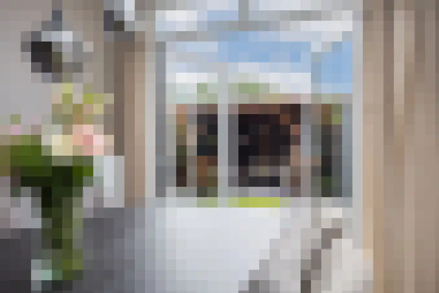 De Zicht 4 Brummen thumbnail 12