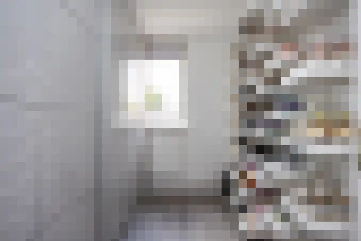 De Zicht 4 Brummen thumbnail 15