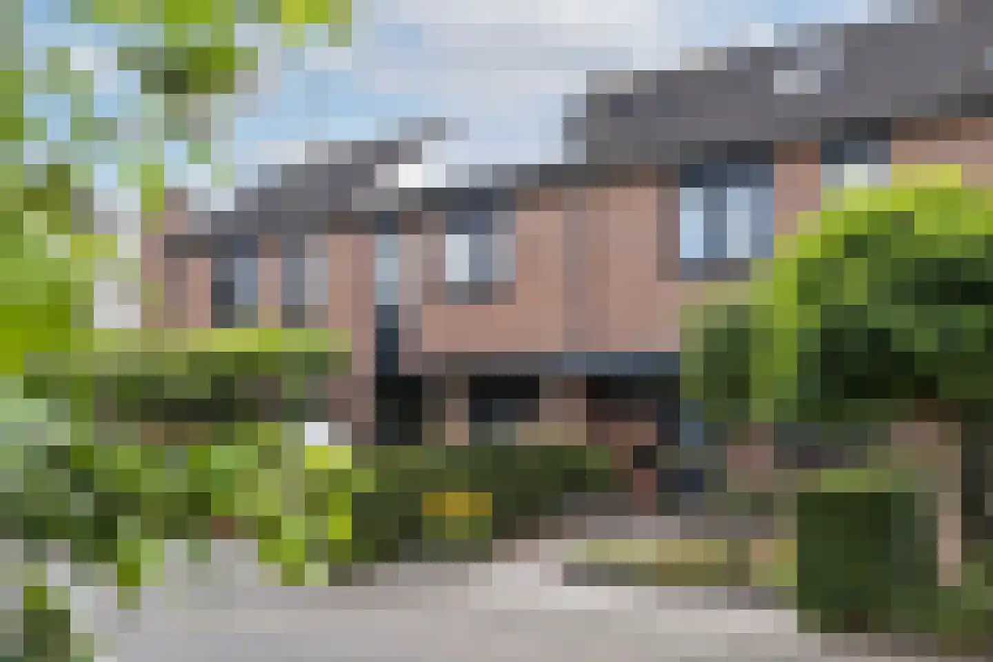 De Zicht 4 Brummen foto 2