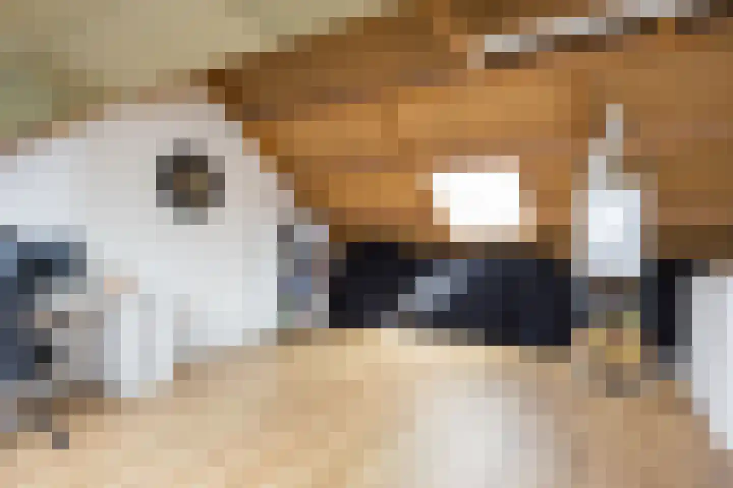 De Zicht 4 Brummen thumbnail 20