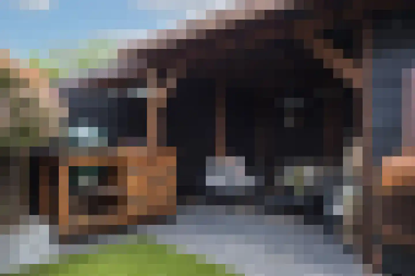 De Zicht 4 Brummen thumbnail 22
