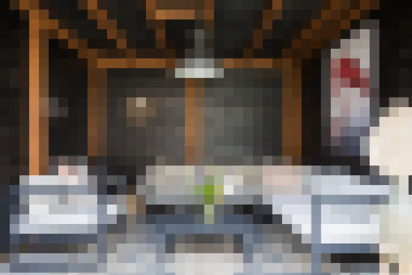De Zicht 4 Brummen thumbnail 24