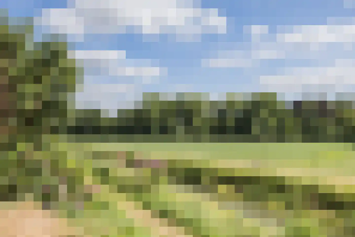 De Zicht 4 Brummen thumbnail 28