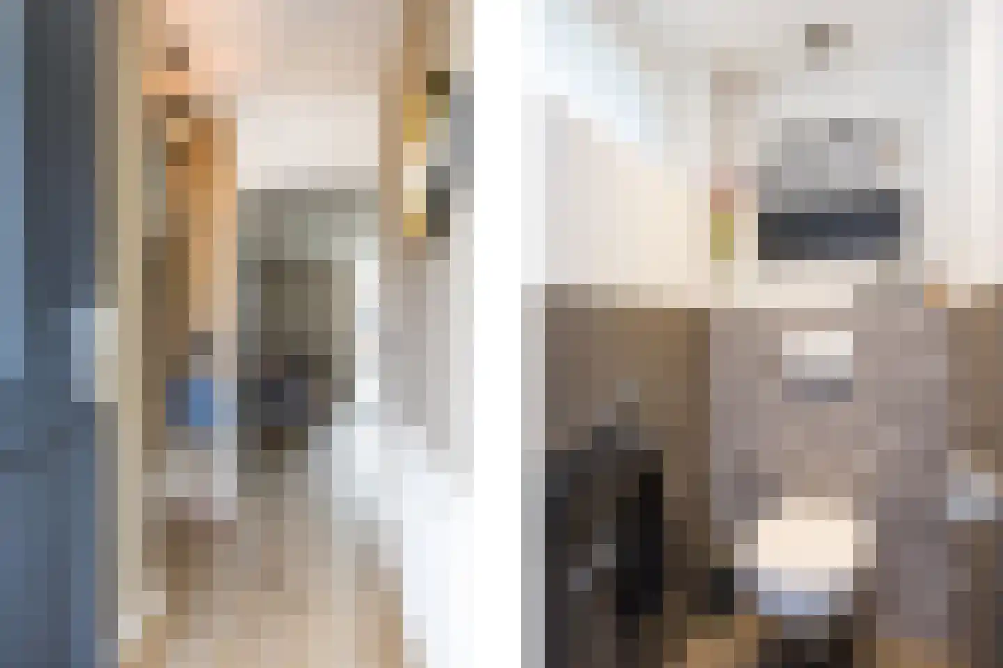 De Zicht 4 Brummen thumbnail 4