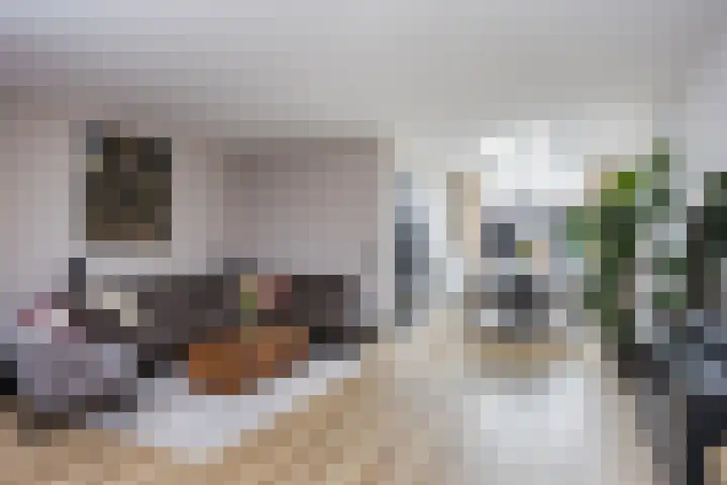 De Zicht 4 Brummen thumbnail 5