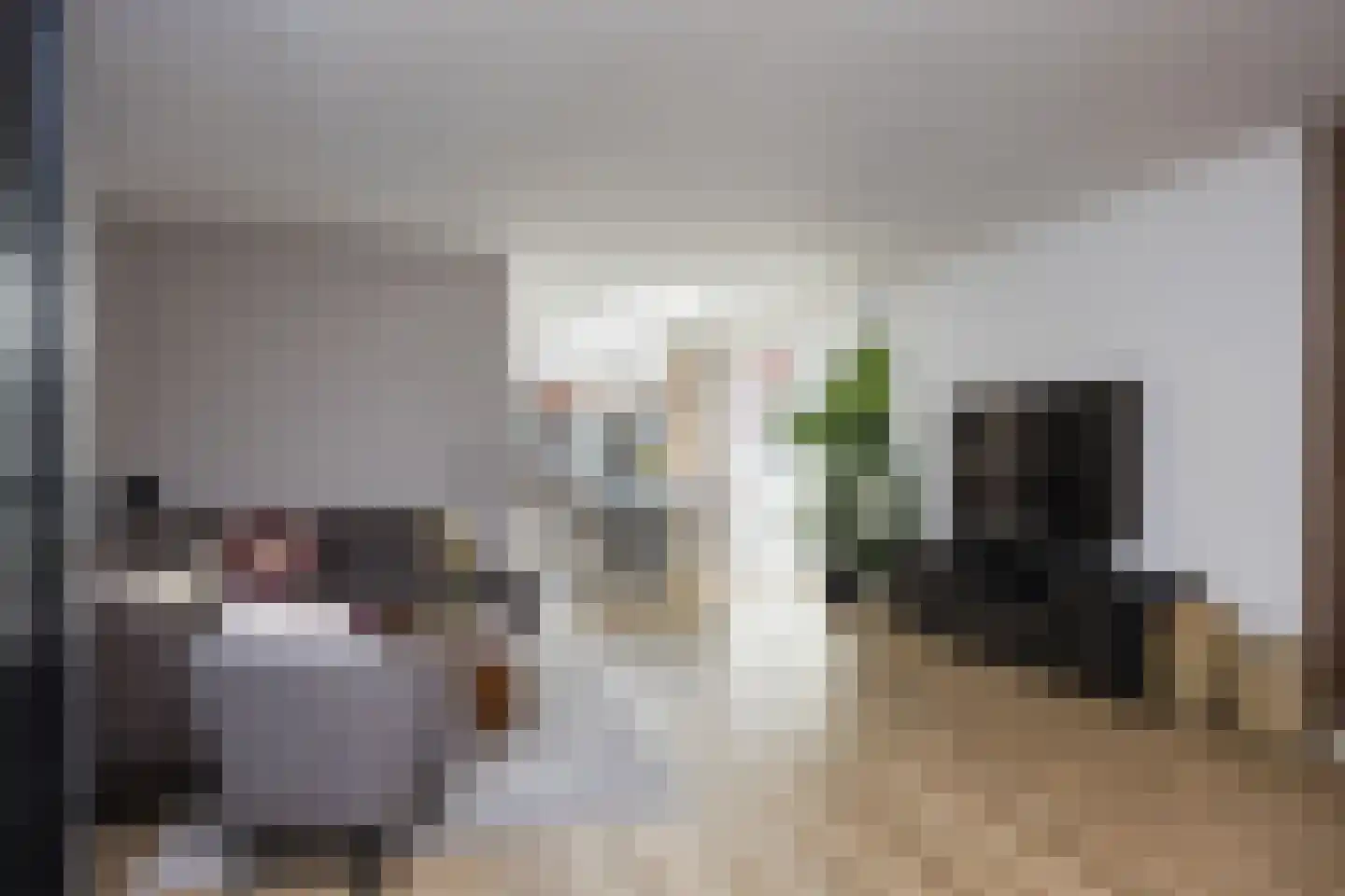 De Zicht 4 Brummen thumbnail 7