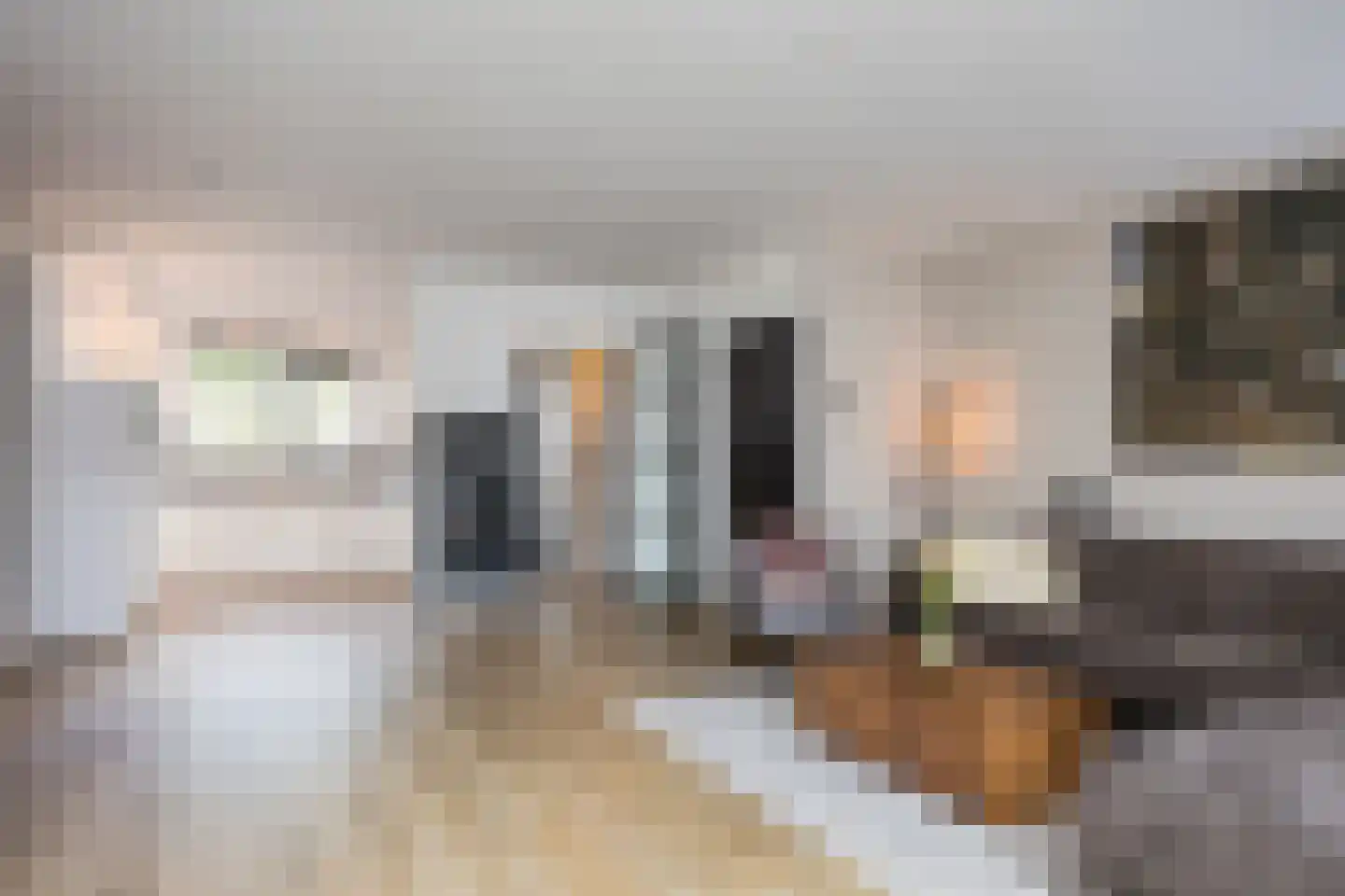 De Zicht 4 Brummen thumbnail 8