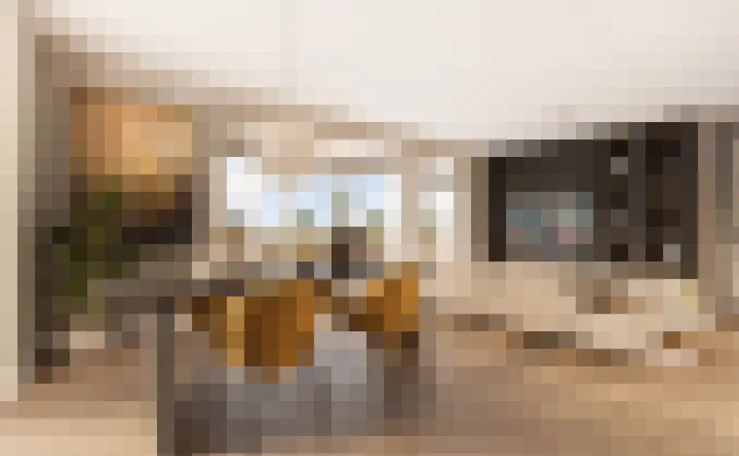 De Zijde Bergschenhoek foto 2