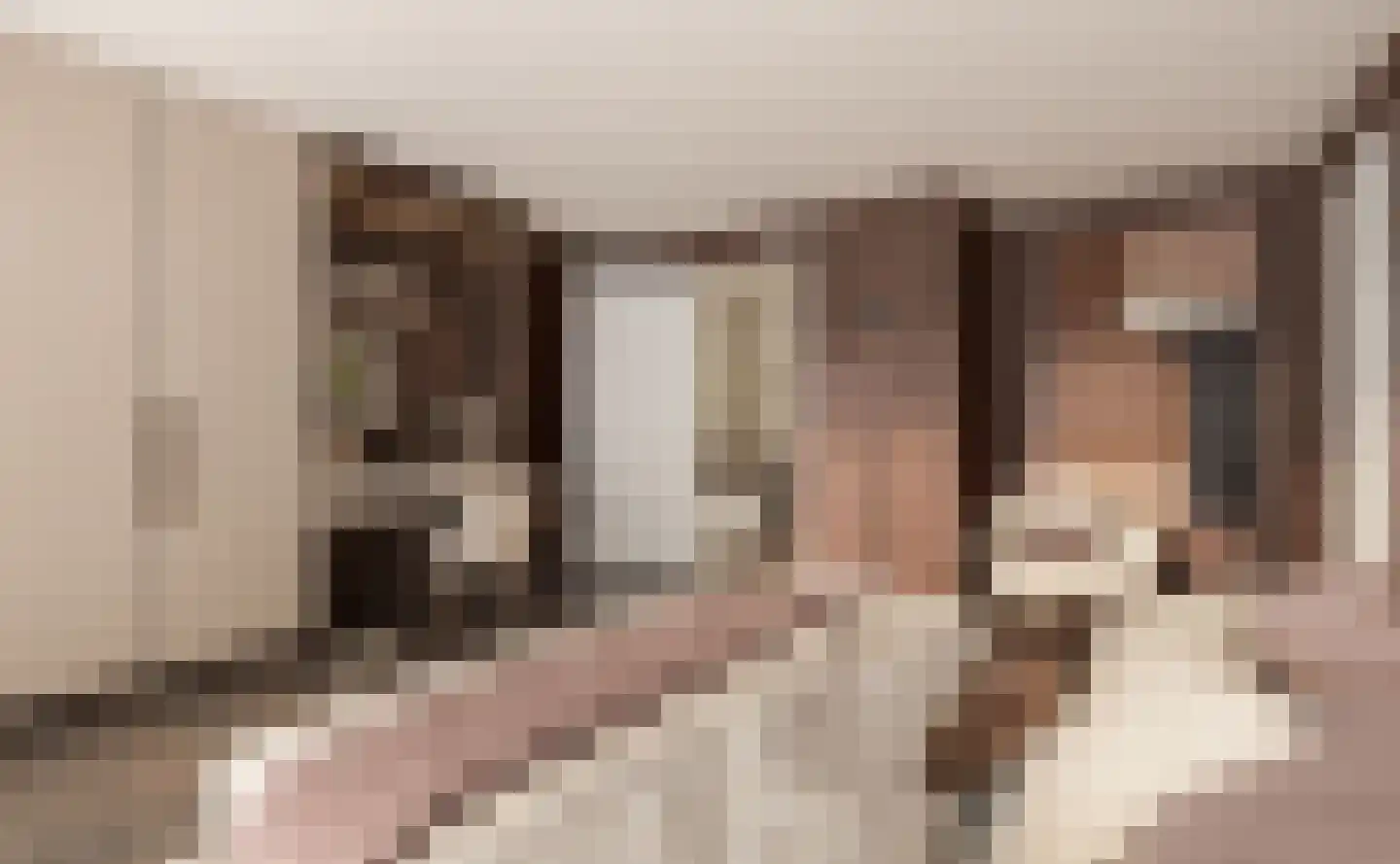 De Zijde Bergschenhoek thumbnail 6