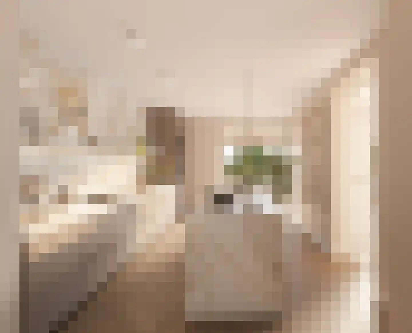De Zijde Bergschenhoek thumbnail 6