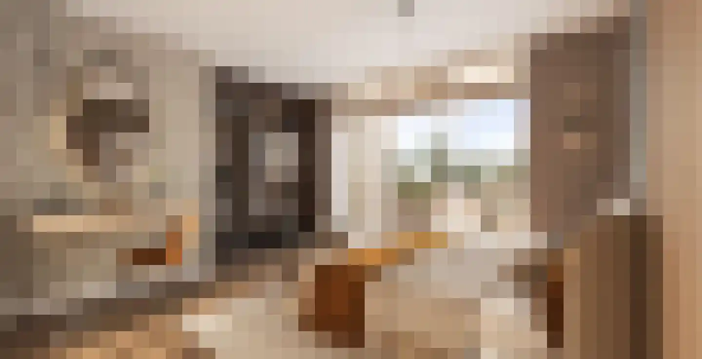 De Zijde Bergschenhoek thumbnail 8