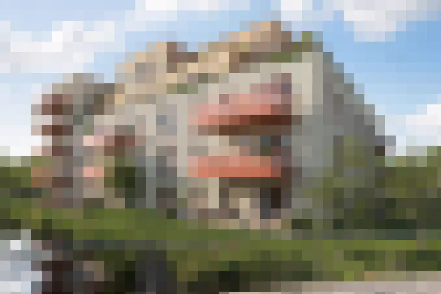 De Zijde Bergschenhoek thumbnail 9
