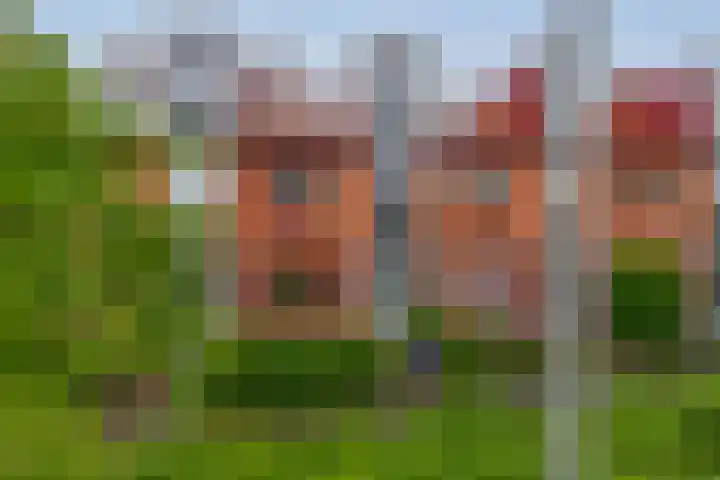 De Zijl 3 in Pijnacker
