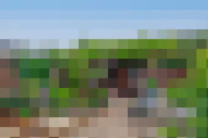 De Zijl 3 Pijnacker thumbnail 11