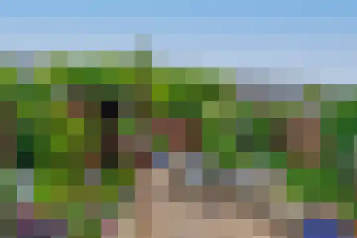 De Zijl 3 Pijnacker thumbnail 12