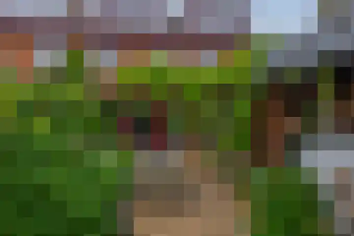 De Zijl 3 Pijnacker thumbnail 13