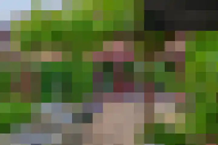De Zijl 3 Pijnacker thumbnail 14