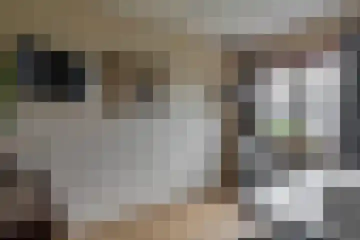 De Zijl 3 Pijnacker thumbnail 18