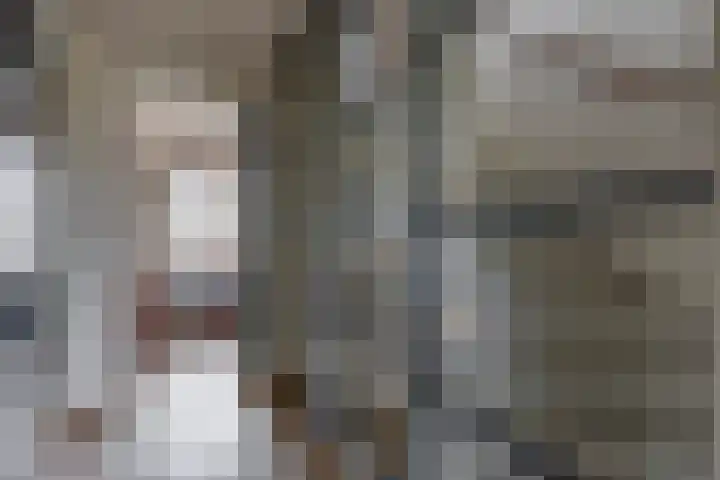 De Zijl 3 Pijnacker thumbnail 19