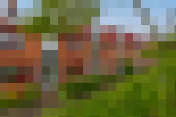 De Zijl 3 Pijnacker foto 2