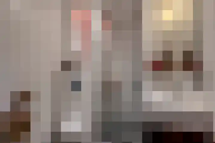 De Zijl 3 Pijnacker thumbnail 20