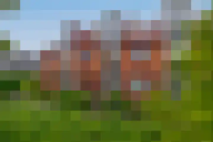 De Zijl 3 Pijnacker thumbnail 25