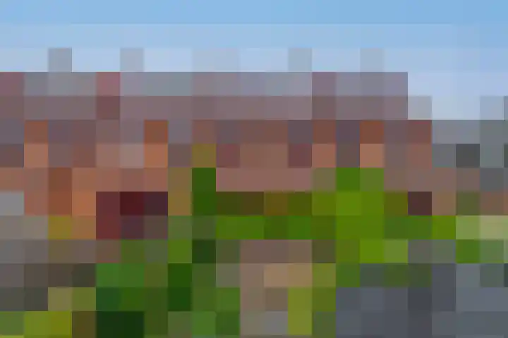 De Zijl 3 Pijnacker thumbnail 26
