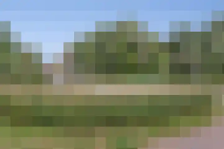 De Zijl 3 Pijnacker thumbnail 27