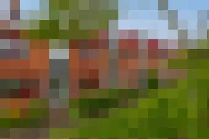 De Zijl 3 Pijnacker thumbnail 30