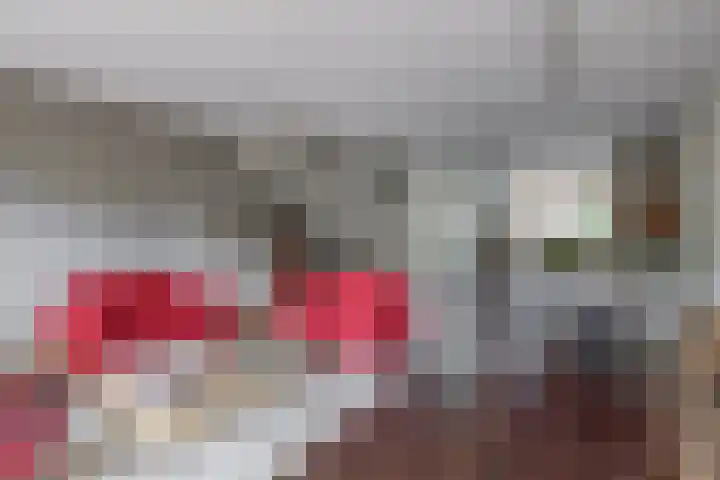 De Zijl 3 Pijnacker thumbnail 4