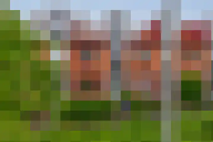 De Zijl 3 Pijnacker thumbnail 41