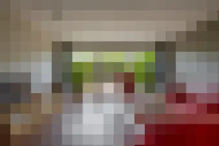 De Zijl 3 Pijnacker thumbnail 5