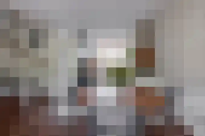 De Zijl 3 Pijnacker thumbnail 7