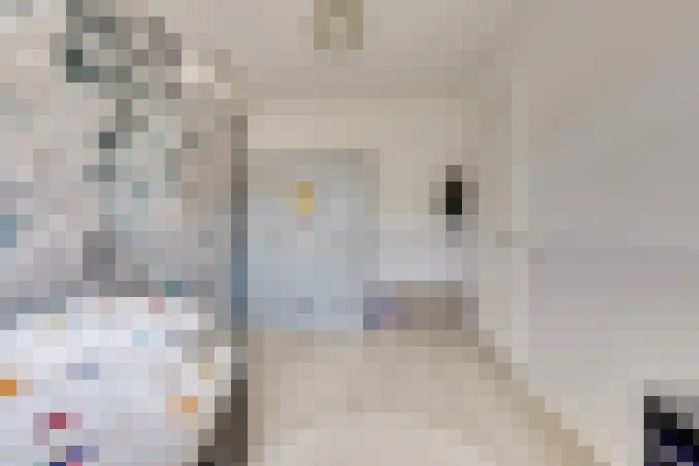 De Zijp 33 Vianen thumbnail 26