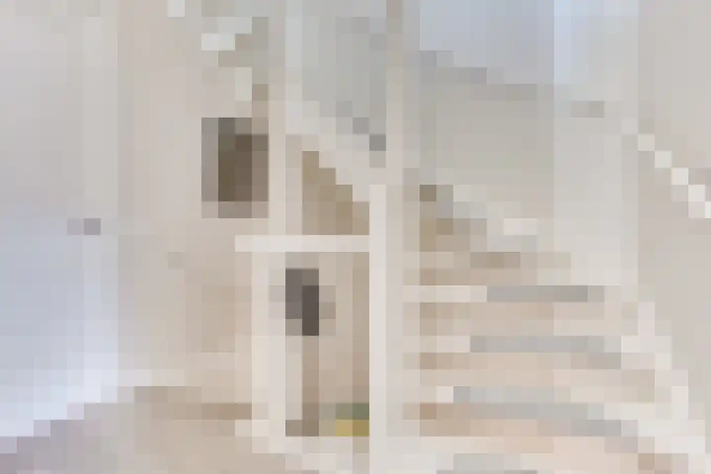 De Zijp 33 Vianen thumbnail 27