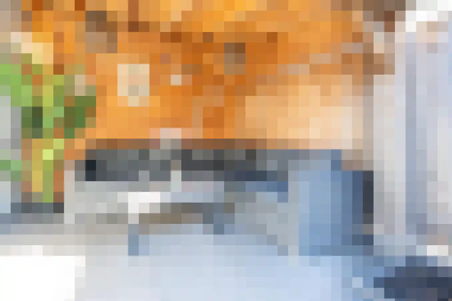 De Zijp 33 Vianen thumbnail 41