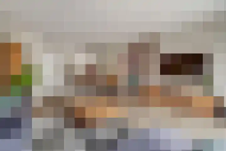 De Zijp 37 Vianen thumbnail 10