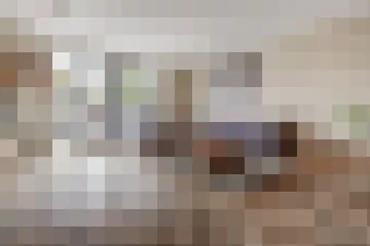 De Zijp 37 Vianen thumbnail 12