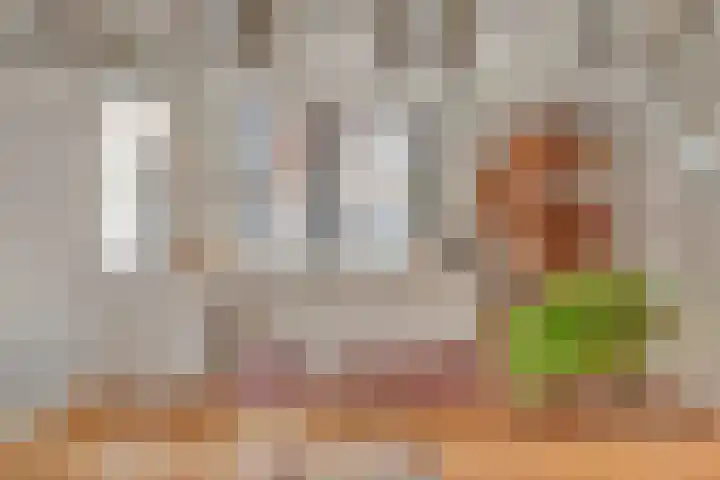 De Zijp 37 Vianen thumbnail 16