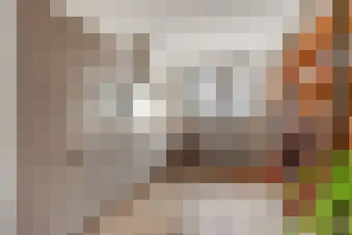 De Zijp 37 Vianen thumbnail 17