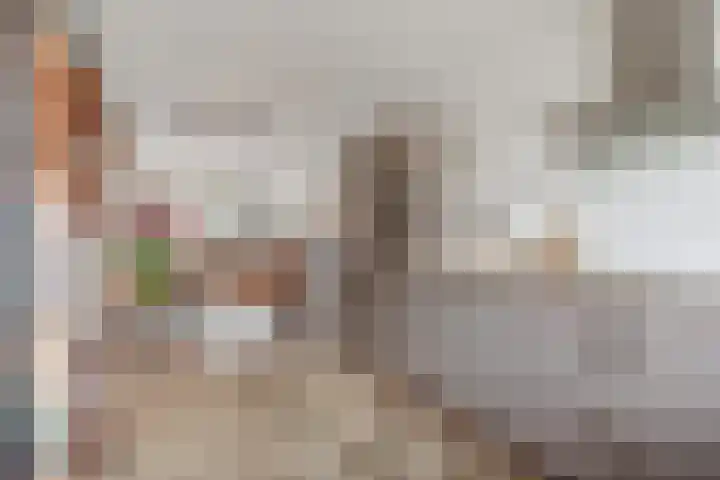 De Zijp 37 Vianen thumbnail 18