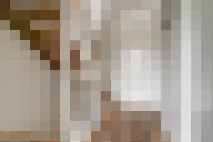 De Zijp 37 Vianen thumbnail 22