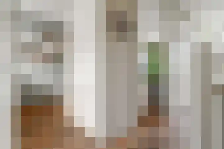 De Zijp 37 Vianen thumbnail 23