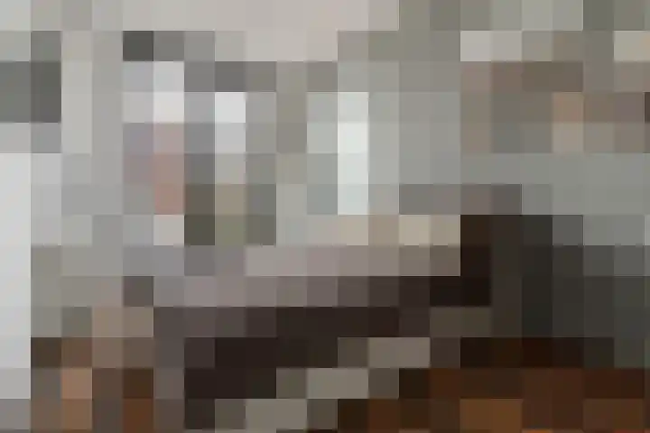 De Zijp 37 Vianen thumbnail 24