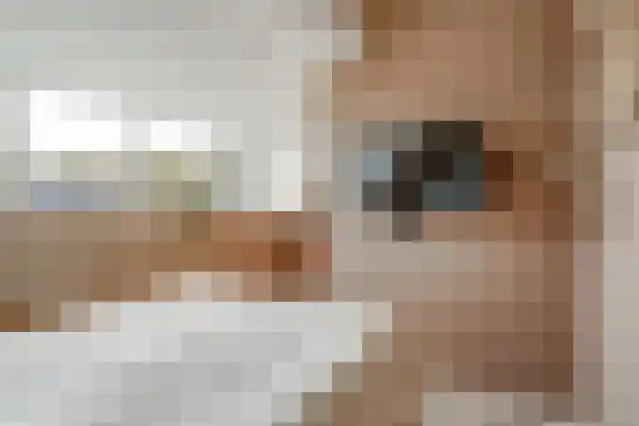 De Zijp 37 Vianen thumbnail 39