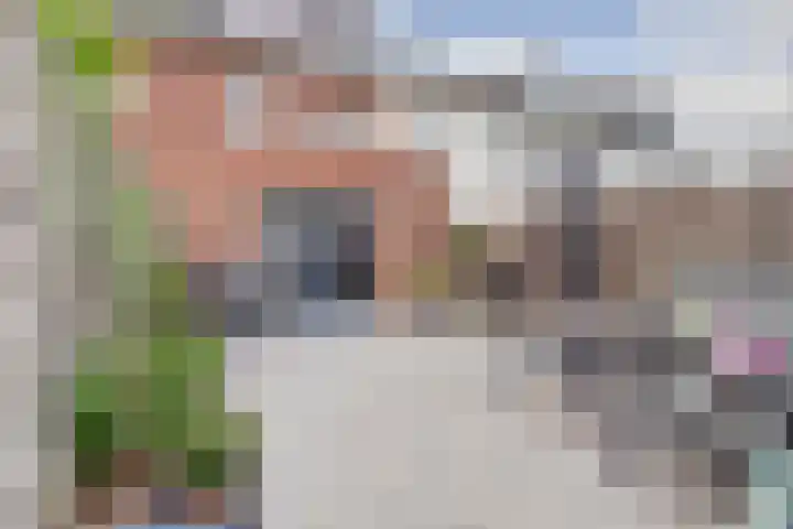 De Zijp 37 Vianen thumbnail 45